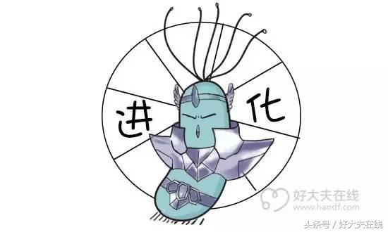 幽门螺旋杆菌入侵人体方式,幽门螺旋杆菌入侵你的胃