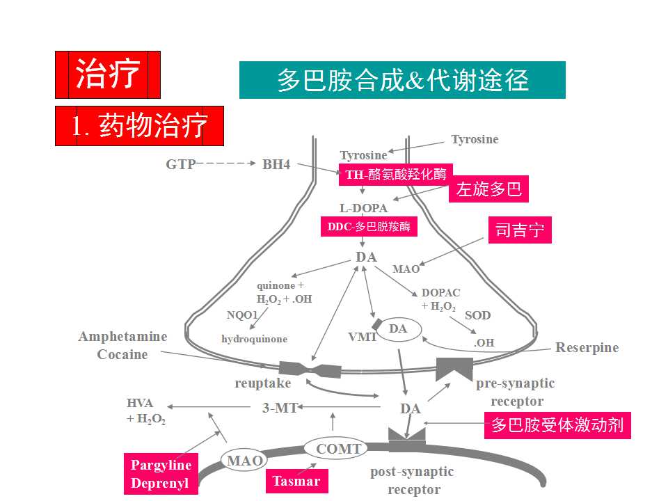 多图详解帕金森及运动障碍性疾病|关于帕金森最全的一个课件