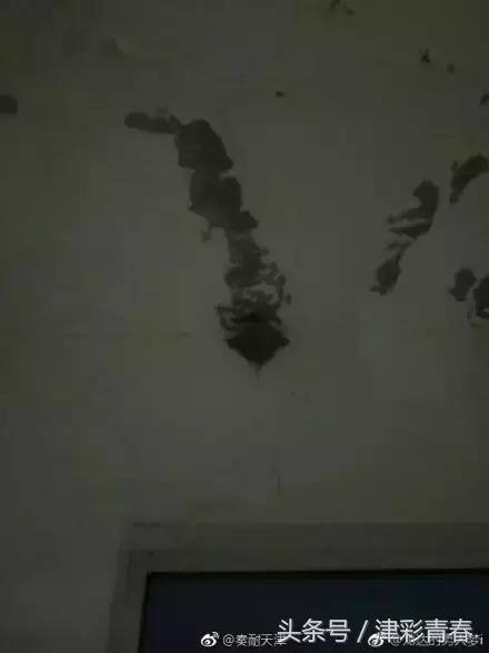 暖哭！天津版小燕子由我们来守护！