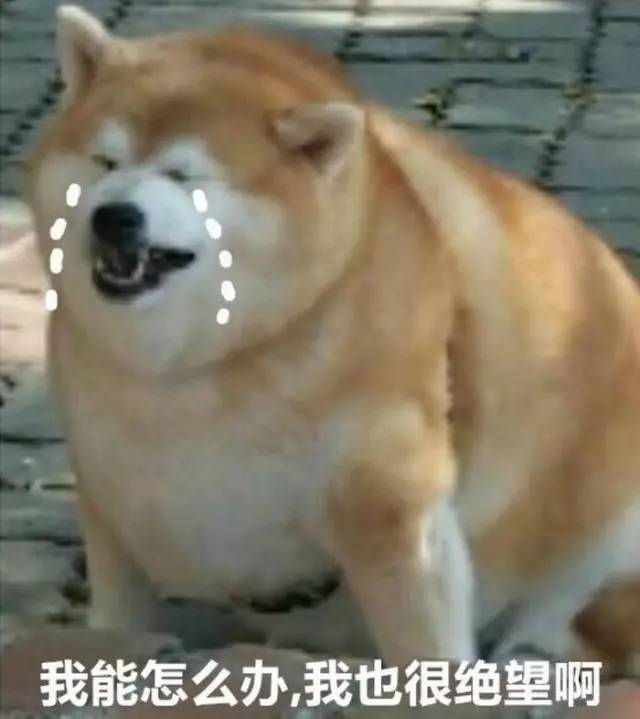 司法拍卖成功可以代取吗,司法拍卖文书可以邮寄吗