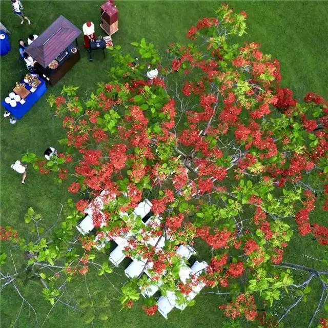 三亚亚龙湾有专属海滩酒店,中国最美丽的亚龙湾