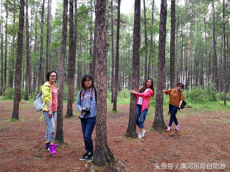 呼伦贝尔漠河旅游攻略夏季,漠河呼伦贝尔阿尔山10日游攻略