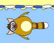 阜阳游泳的地方哪里最好玩,阜阳有哪些游泳的地方