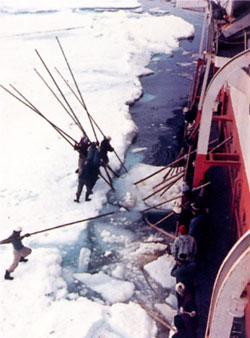 曾经侵略中国，六次远征南极：日本“奇迹之船”的精彩一生