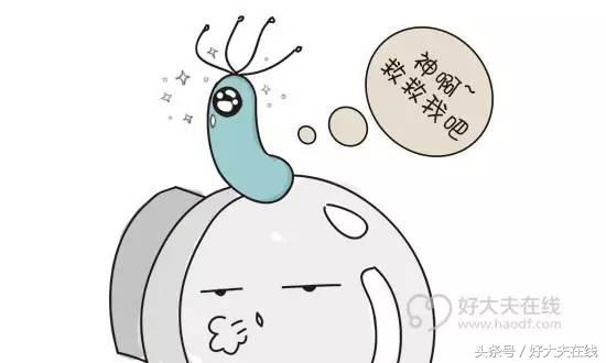 幽门螺旋杆菌入侵人体方式,幽门螺旋杆菌入侵你的胃