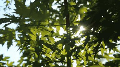 聂凡|只要心中充满爱,人人都可公益