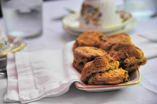 海陆皆猛虎路虎百慕大美洲帆船赛之旅