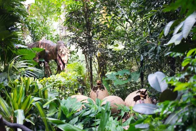 长隆攻略广州长隆欢乐世界攻略,广州长隆最全游玩攻略及费用