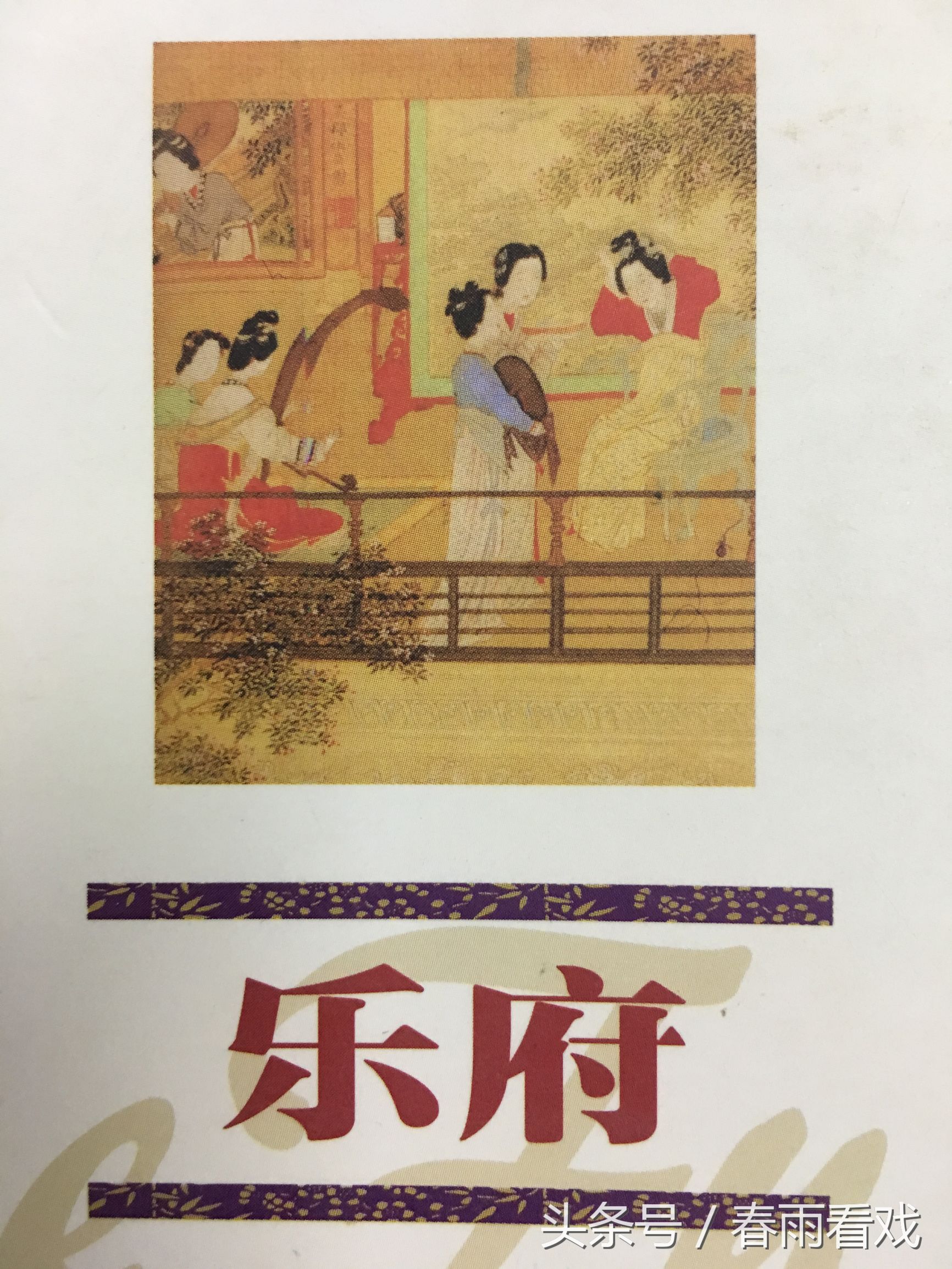 如何追带刺的玫瑰,怎样征服带刺的玫瑰