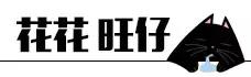 猫咪睡姿大作战,猫咪大字型睡姿图片