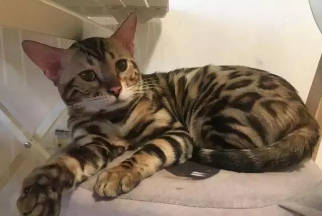 各地最好吃的美食街,帝都美食街