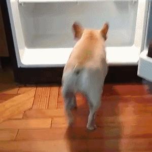 ‘’先救妈！天热，让我在水里待会！”‘’先救女朋友，让妈在水里待会！”