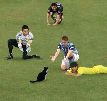 足球的ps搞笑图,足球恶搞ps