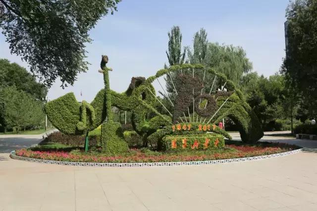 醉美西城｜“城在绿中人在景中”探访绿荫之下的回民区