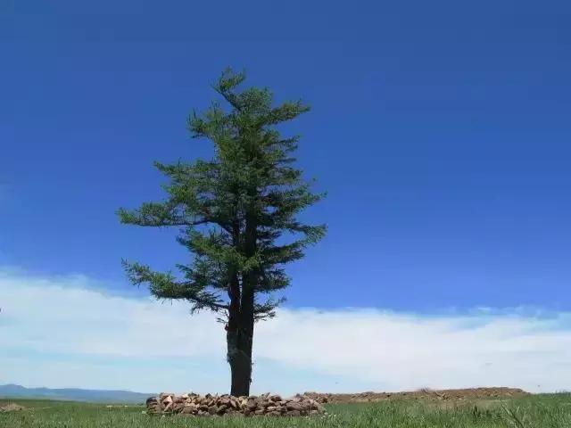 承德市启动绿色引擎增强发展动力,承德市绿色发展的生态效益