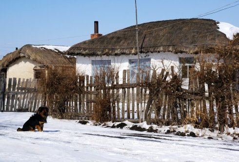 少数民族朝鲜族人能歌善舞,能歌善舞的民族人