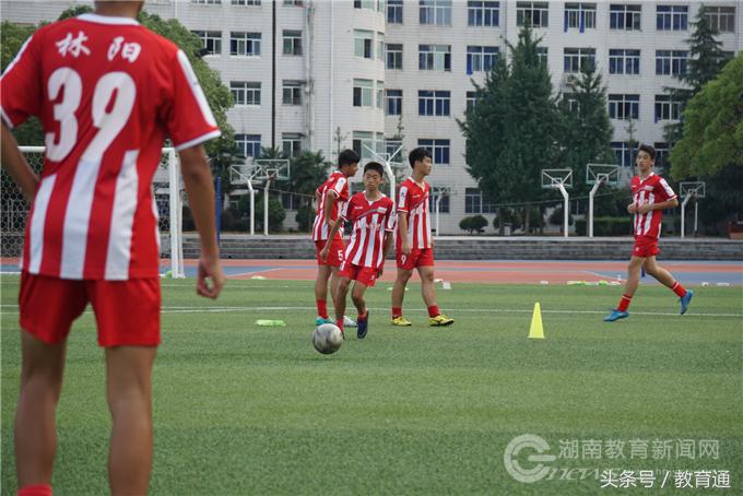 婀栧崡灏戝勾瓒崇悆涔嬪穮,婀栨箻灏戝勾