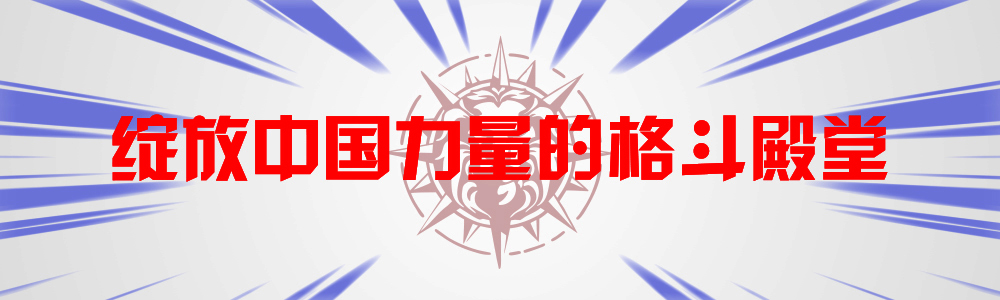 王俊光对战全胜,王俊光打日本冠军