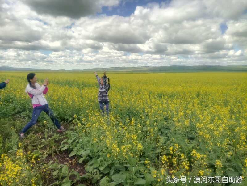 呼伦贝尔漠河旅游攻略夏季,呼伦贝尔漠河环线自由行
