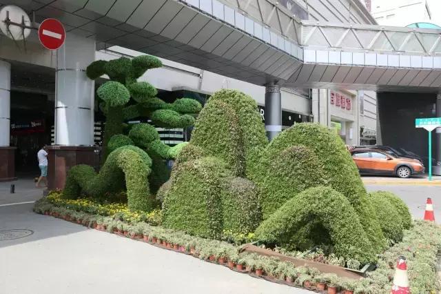 醉美西城｜“城在绿中人在景中”探访绿荫之下的回民区