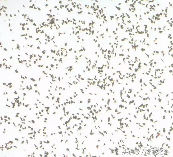 茶叶分类档次排行榜,云南普洱茶茶叶分类