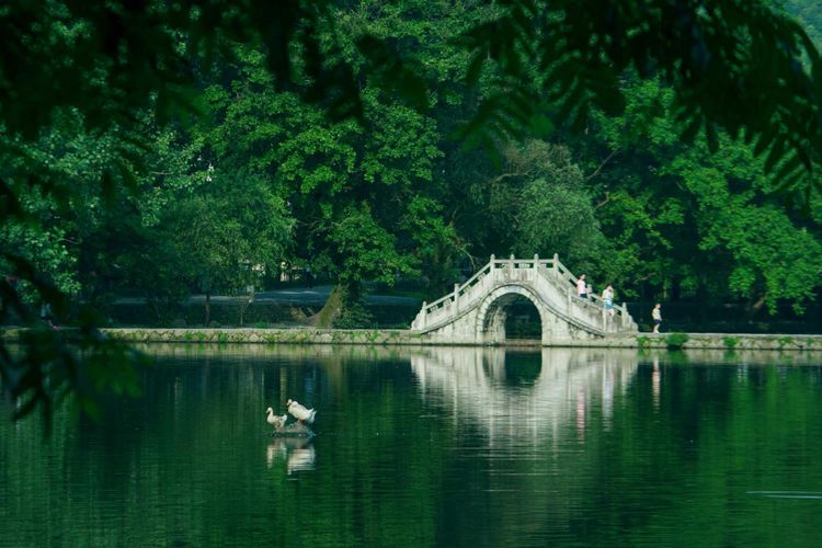 发现一个世外桃源的地方真美,有一处叫世外桃源的地方