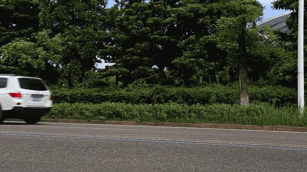 suv适合哪个牌子的机油,suv有柴油吗