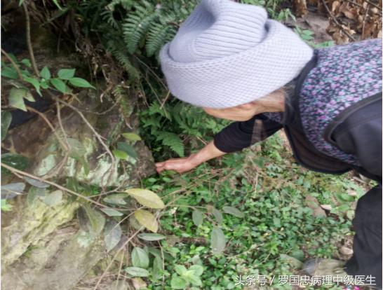 献出几个常见疾病良效药浴熏洗方，简单易做，临床验证效果俱佳