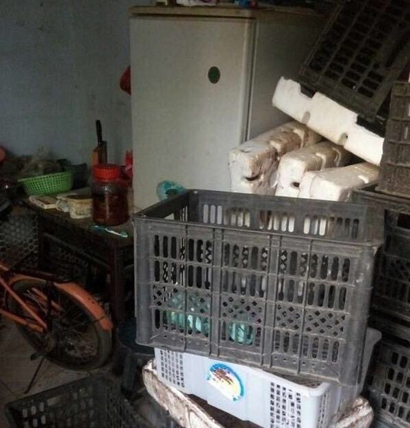 有个邋里邋遢的婆婆怎么办,有个邋遢的婆婆