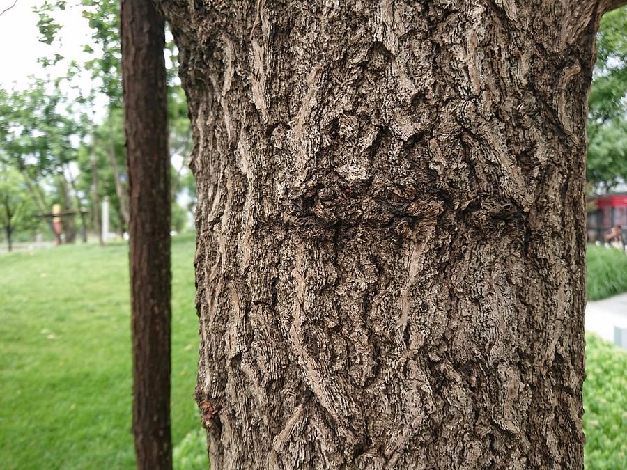 为啥都说索尼电视好,为什么都说索尼手机好