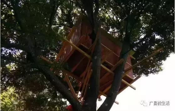 广昌最著名的景点,广昌避暑