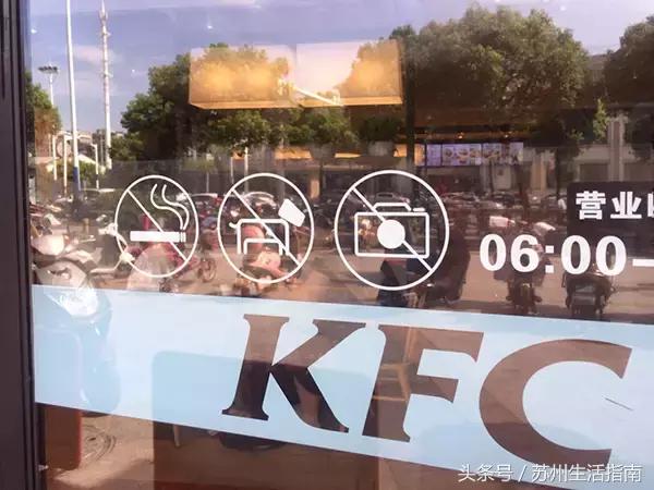 撸猫撸狗好去处苏州,苏州可以撸猫的园