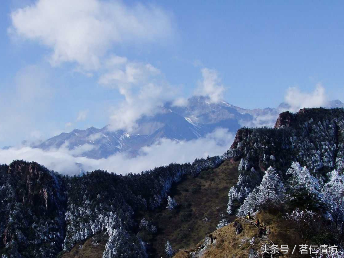 四川最美的山，你去过几个？华蓥山、青城山、西岭雪山……