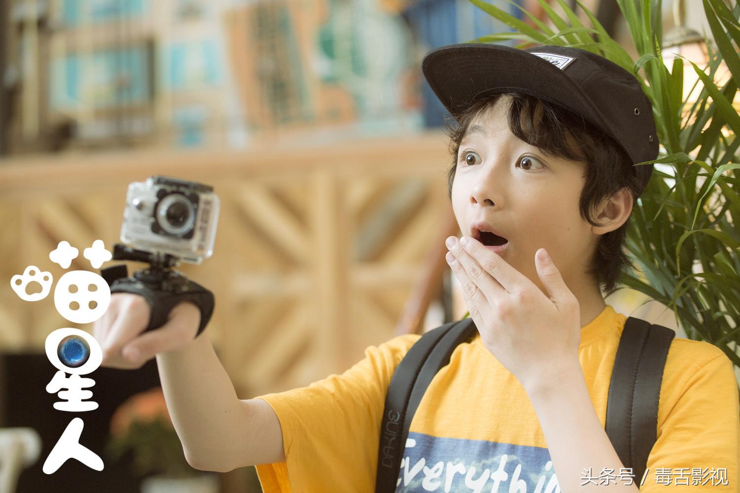 五句话夸猫咪可爱作文,关于喵星人的好听句子简短