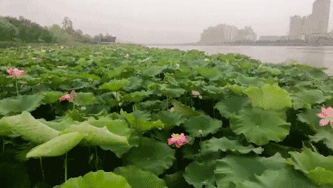 四川省南充市周边可以漂流的地方,南充漂流好去处