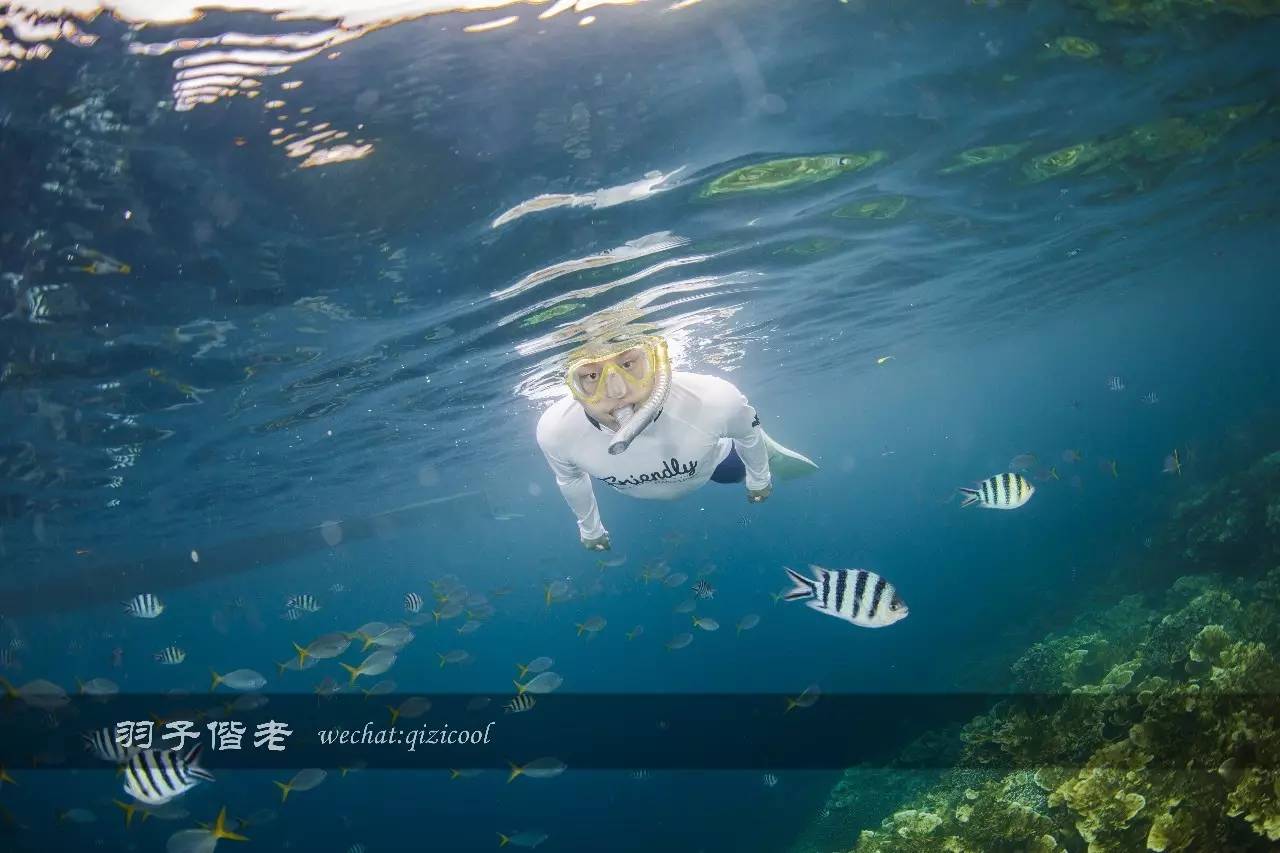 帕劳旅游发展的前景,去帕劳注意事项和必备品