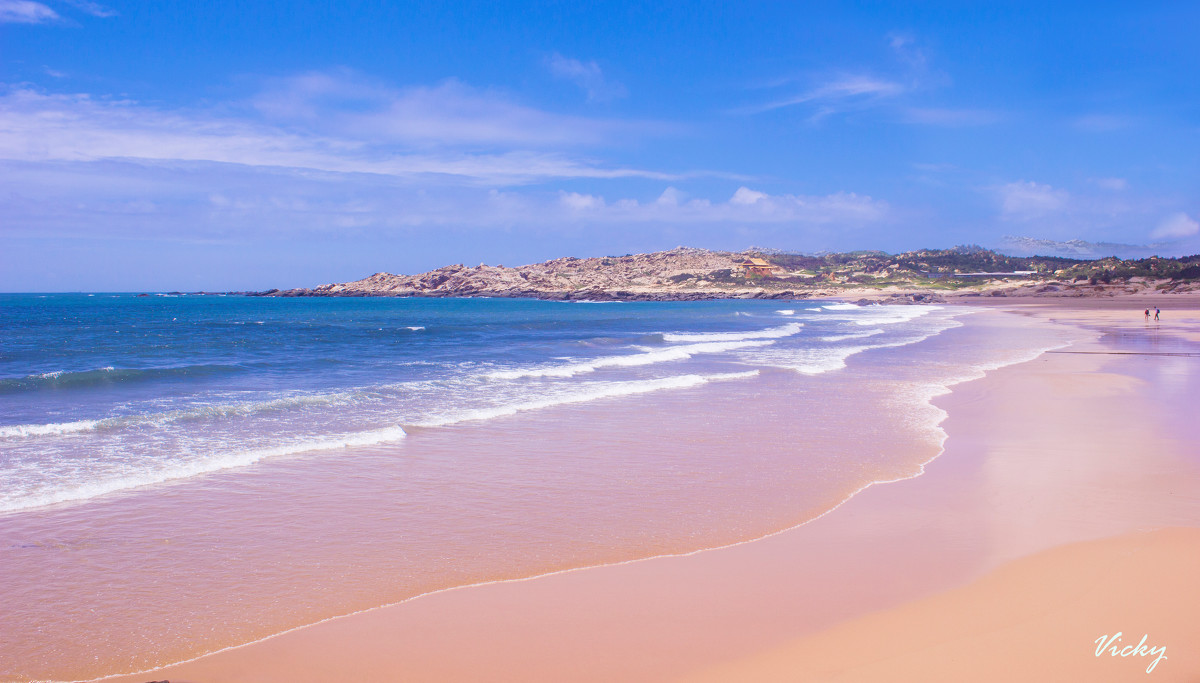 海边独特的美食有哪些,海边都有哪些特色美食