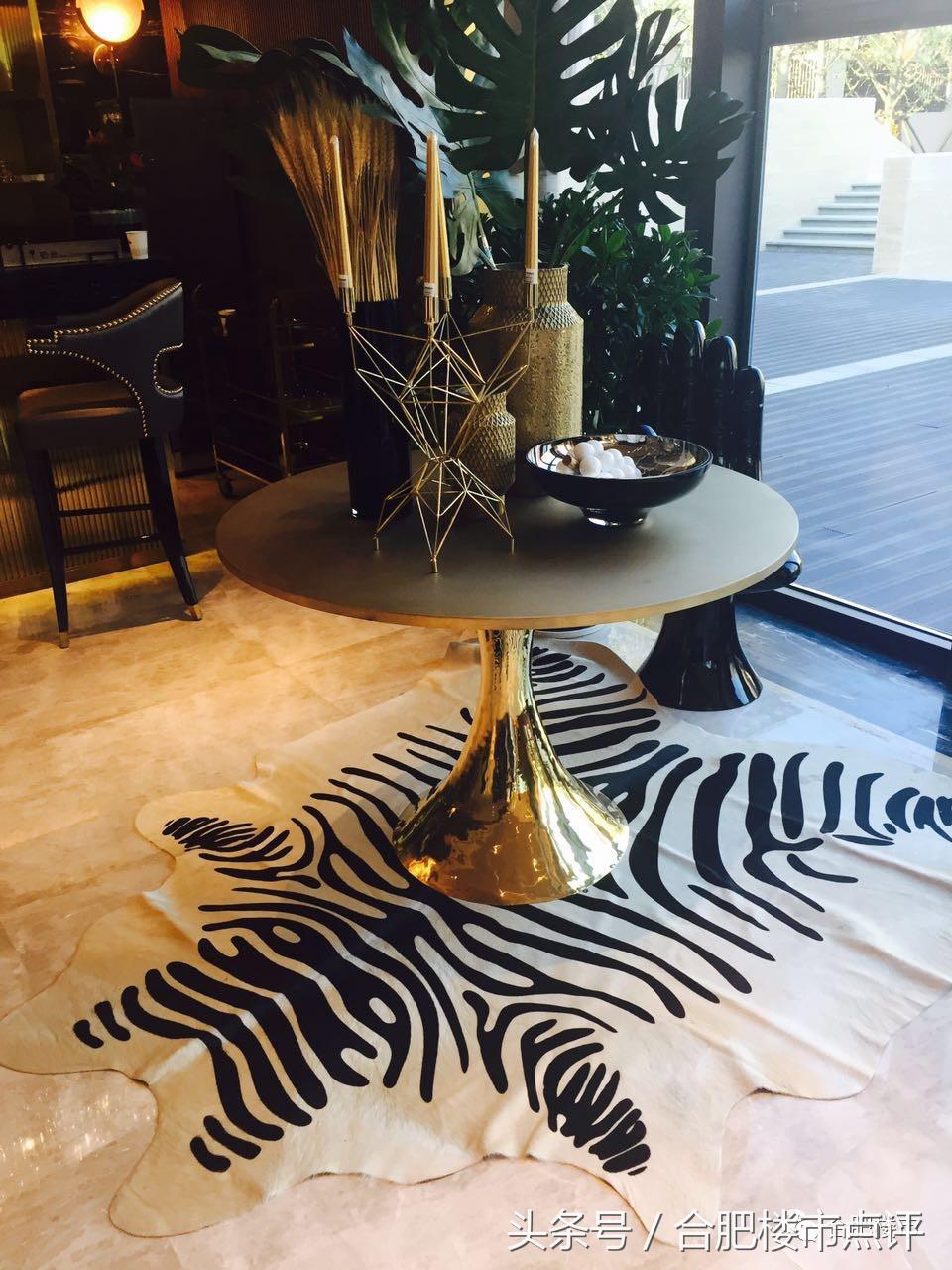 合肥滨湖最好示范区 (合肥滨湖最值得投资的小区)