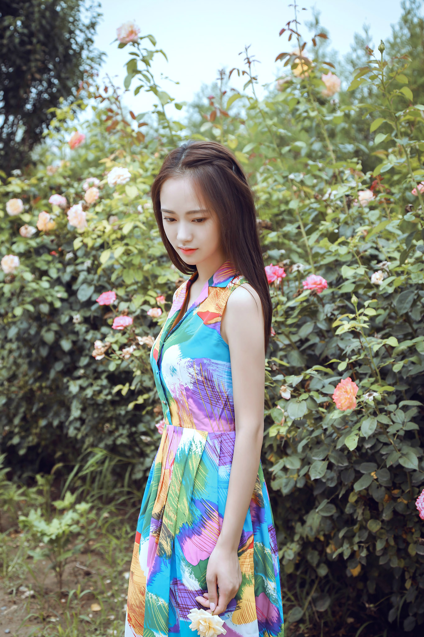 木屋里的小姑娘,围屋里的小姑娘