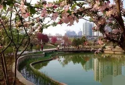 石家庄长安区大消息,石家庄长安区会发展好吗