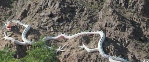 长江出现龙是真的吗,中国传说出现过的龙