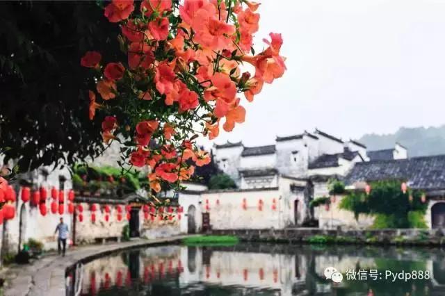 指数失真大盘四连阳后市怎么走,市场指数怎么调整风险