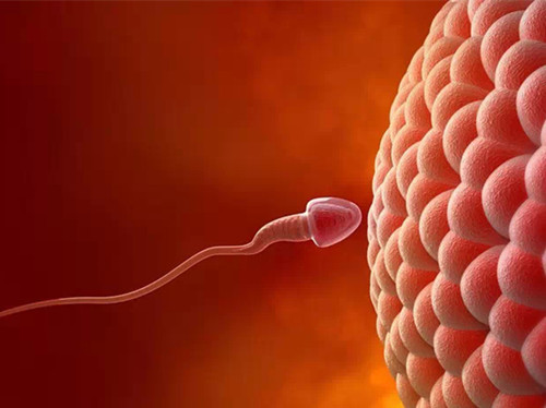 40岁的女性能排出“20岁的卵子”？做到这4点，完全可以！