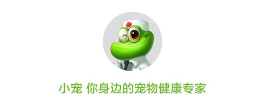 你家的狗会打滚吗,你家的狗多大了