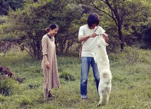 李孝利的民宿在哪可以看,李孝利的民宿在线观看