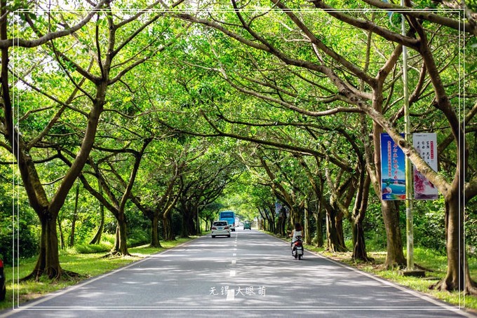 萌妹子的三亚之旅,三亚一月度假攻略