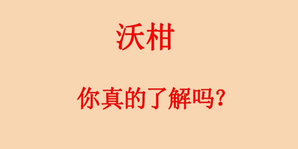 沃柑真的走不动吗,沃柑已接近尾声了