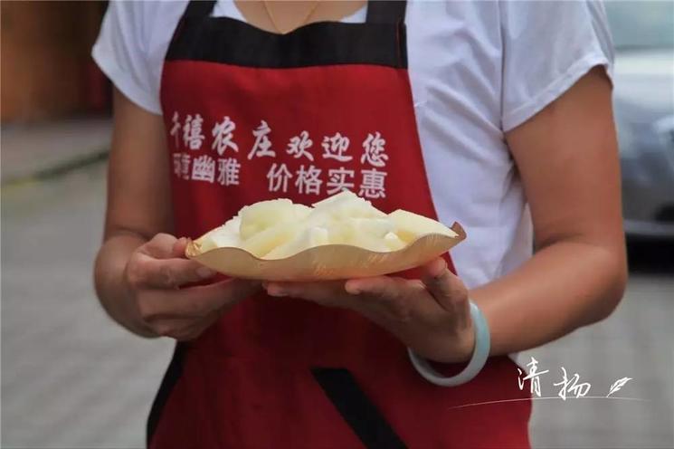 18年的田间记录，书写G20特供蜜梨的成长历程