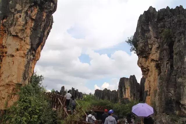 云南花海之行,云南花海基地旅游攻略