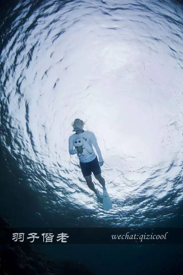 帕劳旅行真实感受,三次帕劳是一种什么体验